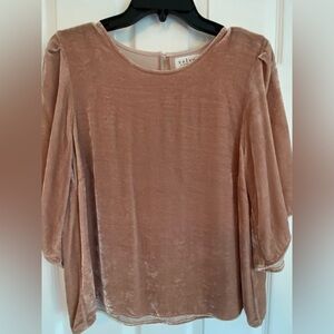 Velvet by Graham & Spencer Blush Velvet Blouse